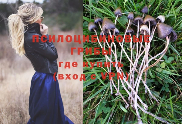 соль ск Балабаново