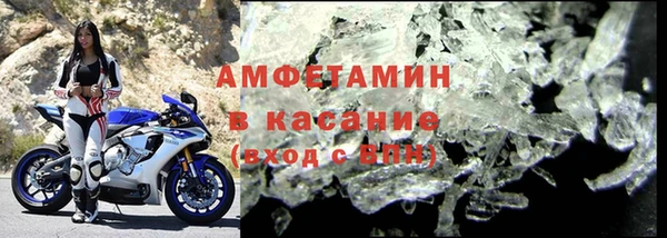 прущие грибы Покачи