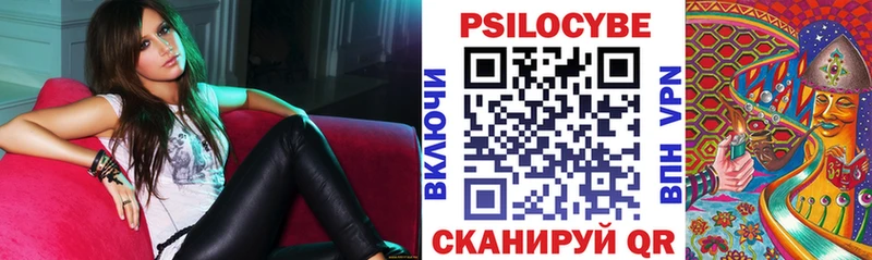 Галлюциногенные грибы Psilocybine cubensis  Лесной 